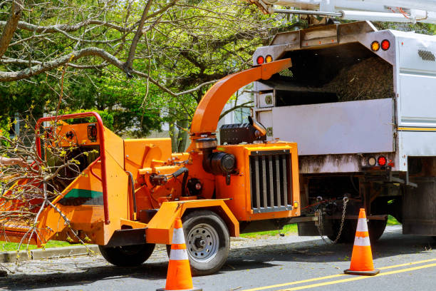 Lawn Watering Services in Gloucester, MA