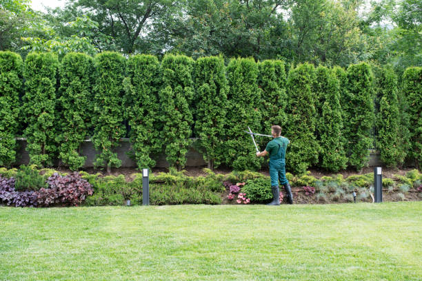 Lawn Irrigation Installation and Maintenance in Gloucester, MA